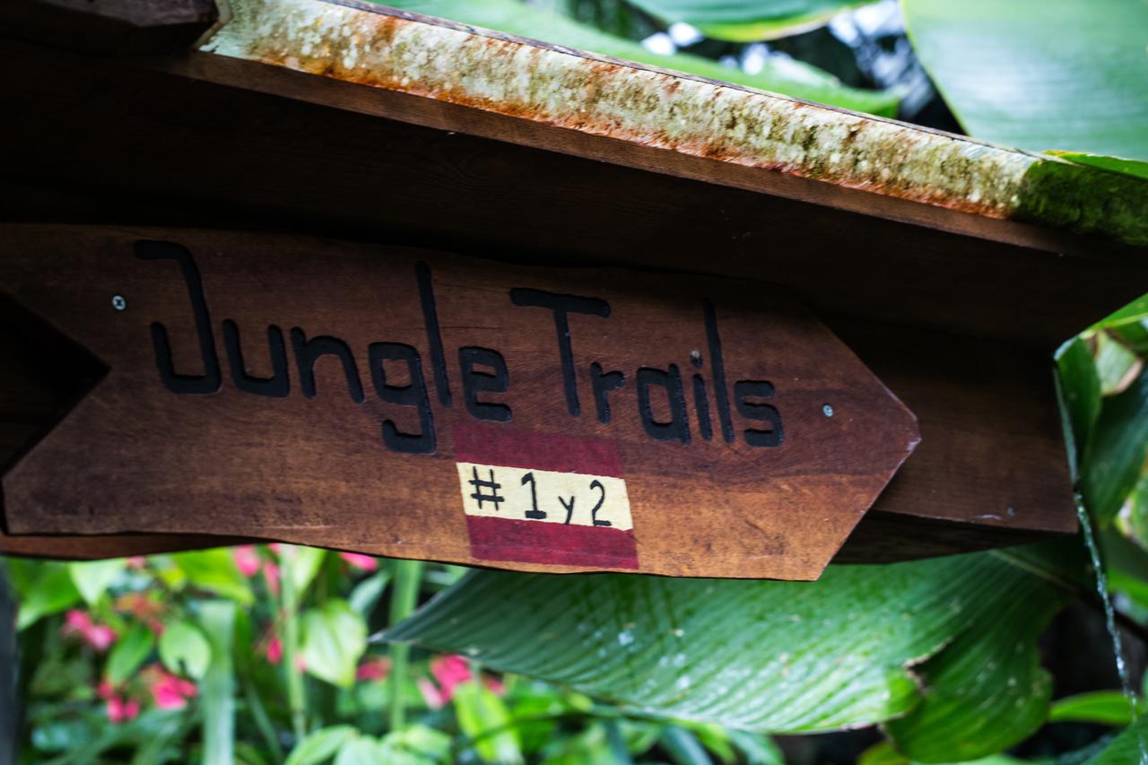 Omega Tours Eco-Jungle Lodge La Ceiba Exterior photo